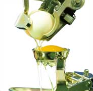 Moba incorporates egg processing activities of OvoPro