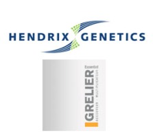 Hendrix and Grelier investigate joining forces