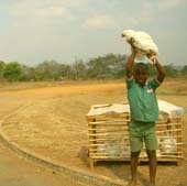 Chicken traditions expose Africans to bird flu