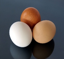 US egg farmers launch new national advertising campaign