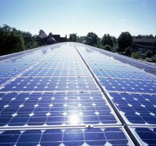 US poultry company goes solar powered