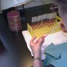 Salmonella report to go public