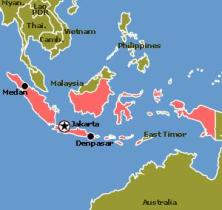 Report: Indonesian poultry industry looks promising in 2011