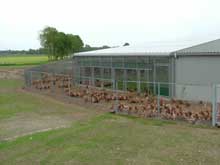 Rondeel opens second facility