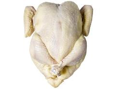 Research suggests chickens are risk to human health