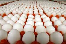 IEC joins Global Food Safety Initiative