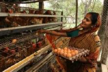 DSM opens its first animal nutrition & health plant in India