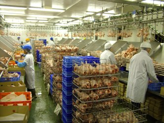 Poultry meat demand on an upward spiral