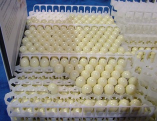 Jamesway’s SST egg transport system now for turkeys