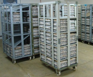 Coating hatching eggs allows longer storage times