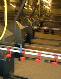 Revival of the chain feeder