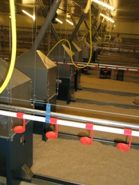 Revival of the chain feeder