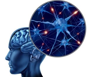 Artificial neural networks: A new tool in poultry research