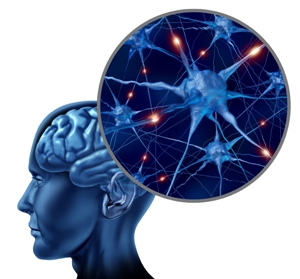 Artificial neural networks: A new tool in poultry research