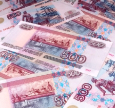 Russia to sell largest poultry farms to private investors