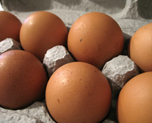 UK egg producers unite against monopoly of packers