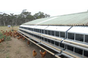 Sustained growth forecast for Australia and New Zealand