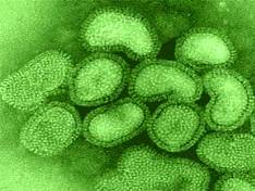 Indonesian government to regulate AI vaccines