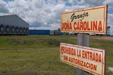 Strategic planning moved Argentina into a professional mode