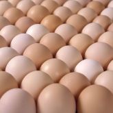 Egg packer has no power over price