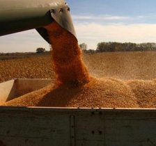 Ukraine poultry exports expected by the end of 2011