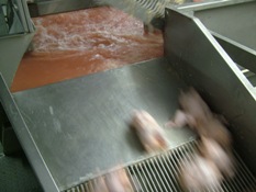 Monitoring key aspects allows proper process control