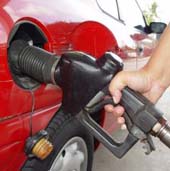 Chicken-fat fuel factory to open soon