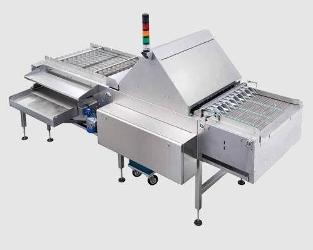 SPACE: Egg packing system using video classification