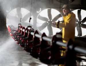 Risk-based control of Salmonella in broiler production