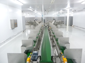 Venezuala’s Agrobueyca plans major hatchery expansion