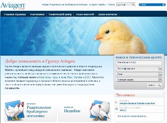 Aviagen launches Russian website