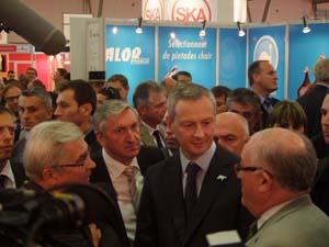 Crisis causes uncertainty among French egg producers