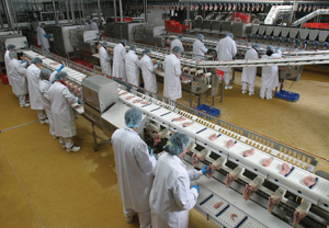 New filleting solutions from Marel Stork