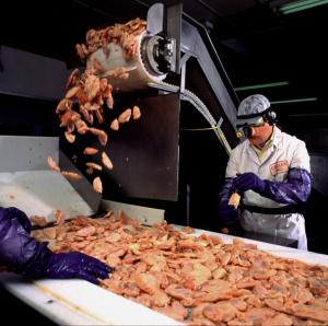 New Embrex Inovoject m for medium and small size hatcheries