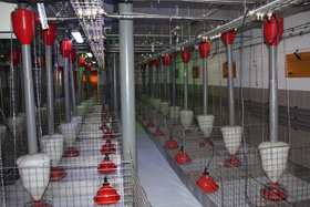 Delacon Biotechnik relies on precision from Schauer Agrotronic