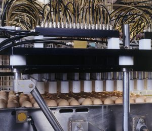 Recombinant vaccines, a new option in disease control