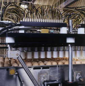 Recombinant vaccines, a new option in disease control