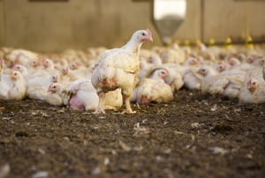 Sustainability is what counts!
