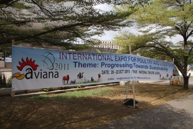 Aviana Ghana