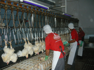 Turning the buttons in time for effective processing