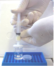 Quick phytase test for Adisseo customers