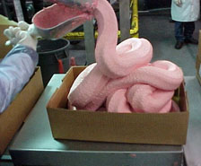 AMI: “Processed meats remain healthy part of balanced diet”