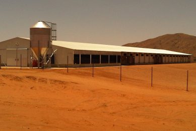 Namibian project aims for poultry self-sufficiency