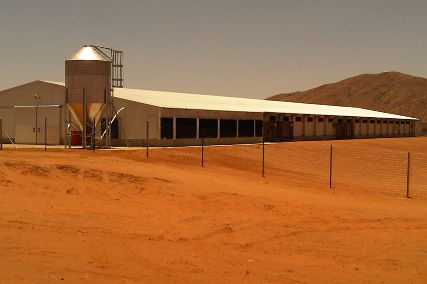 Namibian project aims for poultry self-sufficiency