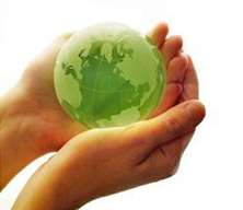Environmental impact of UK poultry industry researched