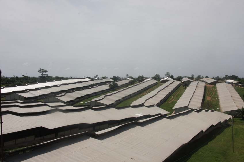 Ghana is balancing on the table egg market