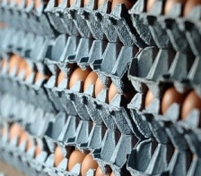 Company update: Avangard reports strong 2011