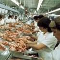Brazil chicken exports drop