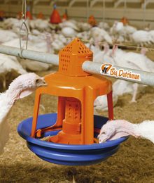 Big Dutchman introduces Gladiator turkey feeder