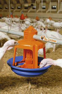 Big Dutchman introduces Gladiator turkey feeder